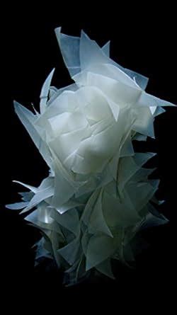 Emanations eBook : Corbett, Andrew Thomas: Amazon.in: Books