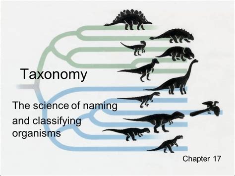 Image result for Example of Interfacing and Classifying Science