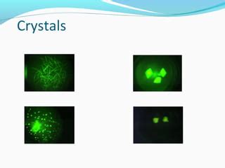 Image result for Protein Crystallization Image Magnification
