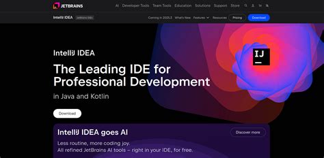 What Is IntelliJ IDEA 的图像结果