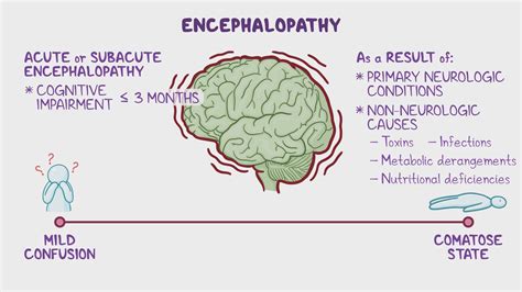 Video: Approach to encephalopathy (acute and subacute): Clinical ...