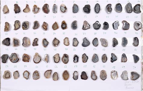 Geode Crystal Guide: Meaning, Types, Benefits & Real vs Fake Tips ...