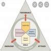10.Functional structures help to create(1 Point)SpecializationTeam ...