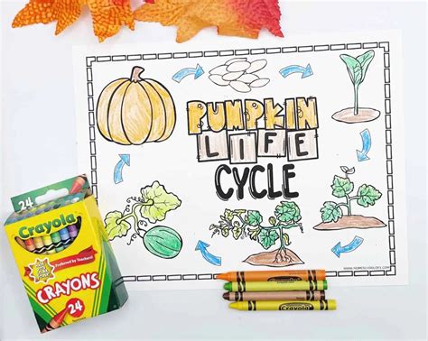 45 Free Fall Printable Activities