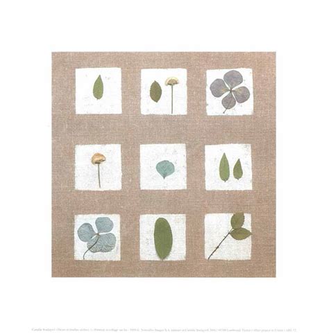 Fleurs et Feuilles Sechees I 1999, by Camille Soulayrol - 12X12"(Art ...
