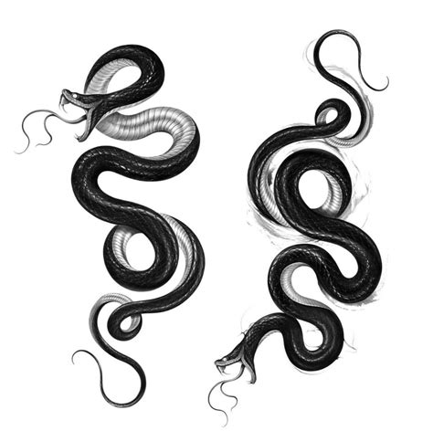Snake Tattoo Design - Two Black and White Snakes