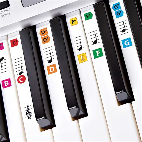 Best Reusable Color Piano Key Note Keyboard Stickers for Adults ...