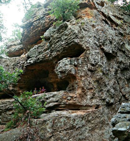 Love this park!!! - Review of Lake Mineral Wells State Park Campground ...