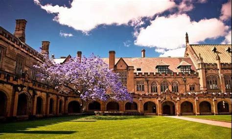 澳洲艺术留学之八大名校排名_维欧艺术留学