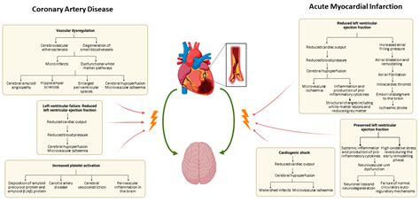 Multi Infarct Dementia Life Expectancy