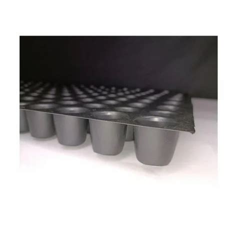 Seedling Trays - Plant Seedling Trays Trader - Retailer from Indore