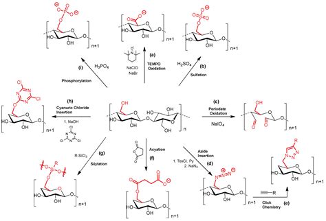Porphyrin Photosensitizers Grafted in Cellulose Supports: A Review
