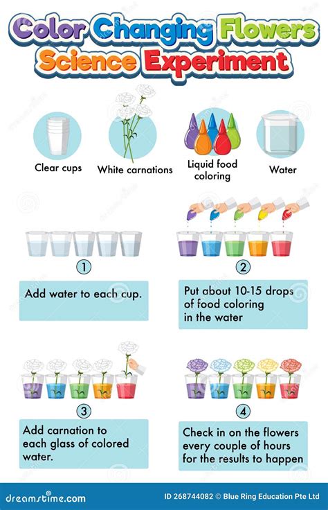 Image result for Color Changing Experiment