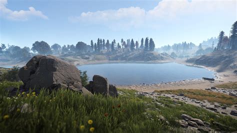 Image result for Rust Daily