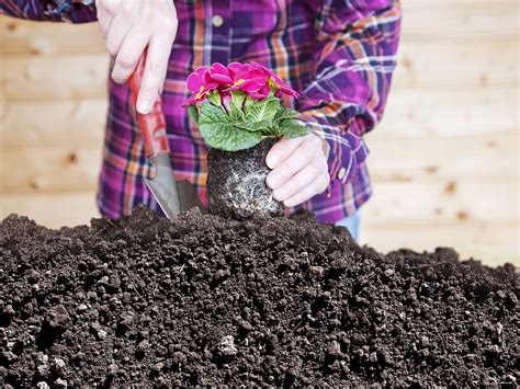 National Garden Week: The Vital Role of Garden Clubs in Preserving ...