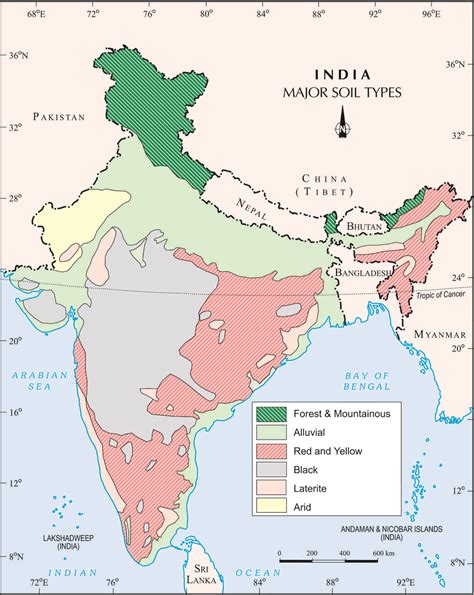 Soil types and their distributions, Classification of Soil in India