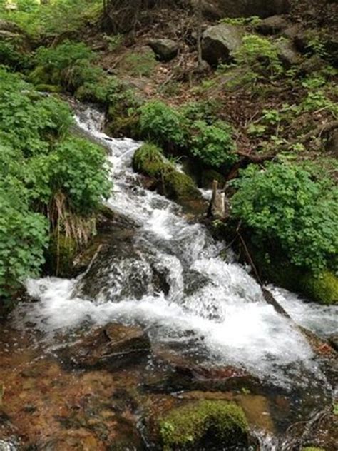 Tonto Basin Tourism (2024): All You Need to Know Before You Go