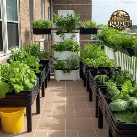 Rajput Farms - Best Landscaper | Boundary Walls, Landscaping, Gardening ...