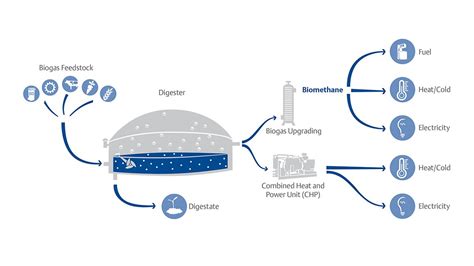 About Gas Chromatographs | Emerson IN