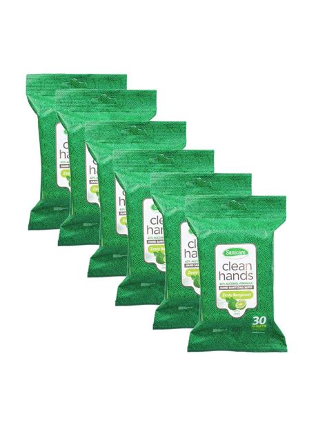 Sanicare [Bundle of 6] Clean Hands Sanitizing Wipe | edamama