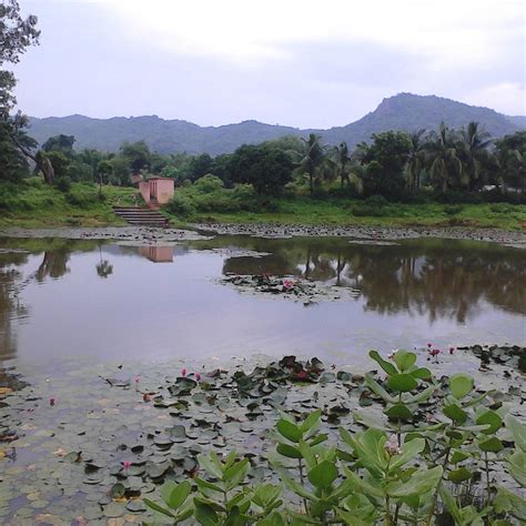 SIMILIPAL KHAIRI RESORT (Handa) - Hotel Reviews, Photos, Rate ...