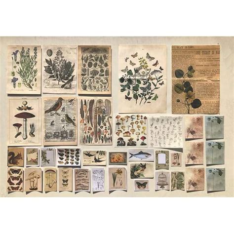 Buy DESEACO Vintage Aesthetic Posters for Room Aesthetic Wall Decor ...