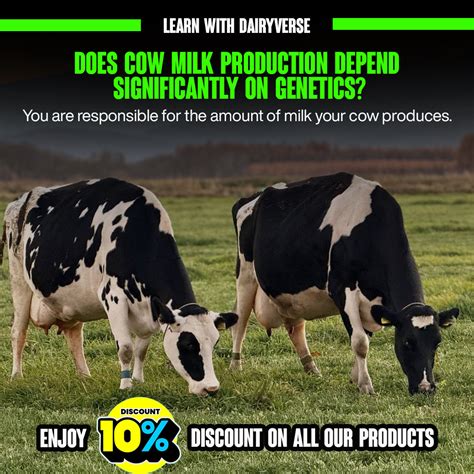 Beyond Genetics: How Nutrition and Management Drive Cow Milk Production - Dairyverse