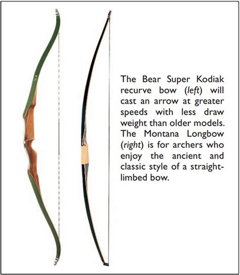 Image result for Bow Types