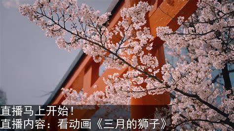 初学者怎么选择阮？2022中阮哪个牌子好？初学者中阮品牌推荐 - 知乎