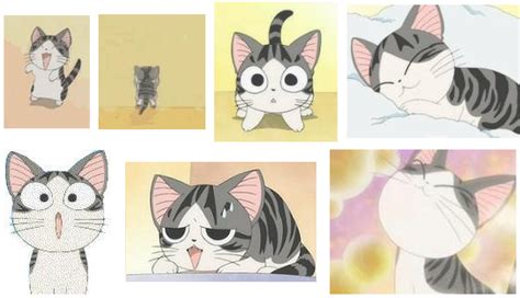 有哪些可爱的猫猫表情包？ - 知乎