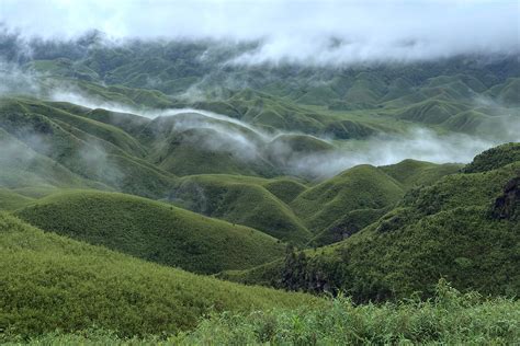 Where Clouds Meet Blossoms – My Journey Through Dzukou, The Valley of ...