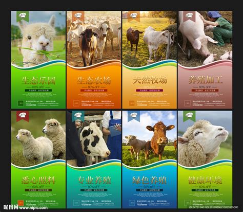 生态养殖名片平面广告素材免费下载(图片编号:5978134)-六图网
