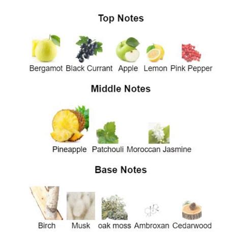 ACCENTO Extrait de Parfum 50ml Inspired by Accento Sospiro | Perfume ...