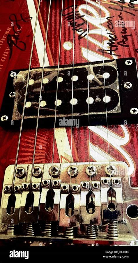 Stringed Instrument 的图像结果