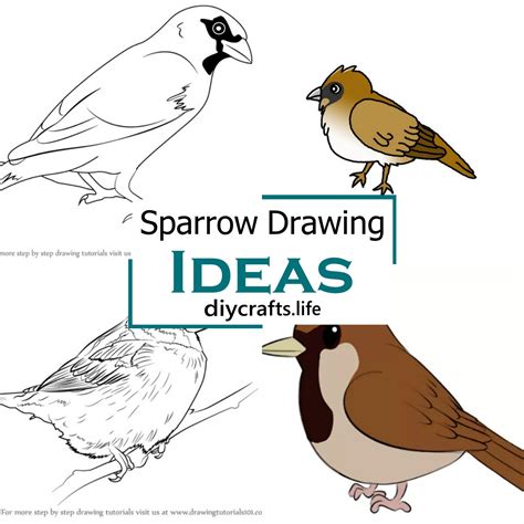 20 Sparrow Drawing Ideas - How To Draw Sparrow - DIY Crafts