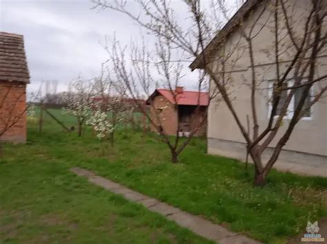 Prodajem kuću u selu Maovi - Šabac : Mali oglasi | Lisica.RS