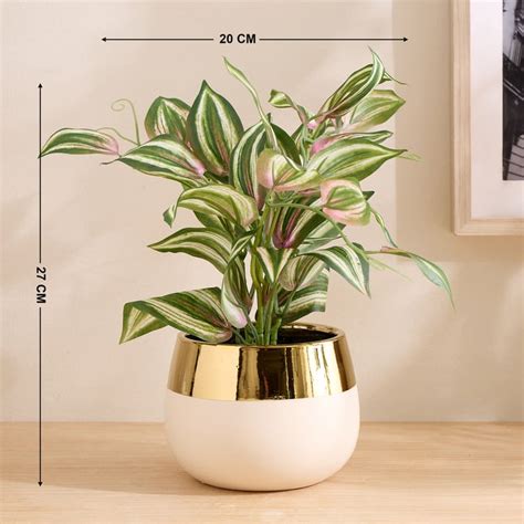 Buy Gloria Elara Artificial Wandering Jew in Ceramic Pot from Home ...