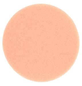 Sonus Porter Cable & Dual Orbital Polisher SFX-3 Orange 4" Final Finish ...