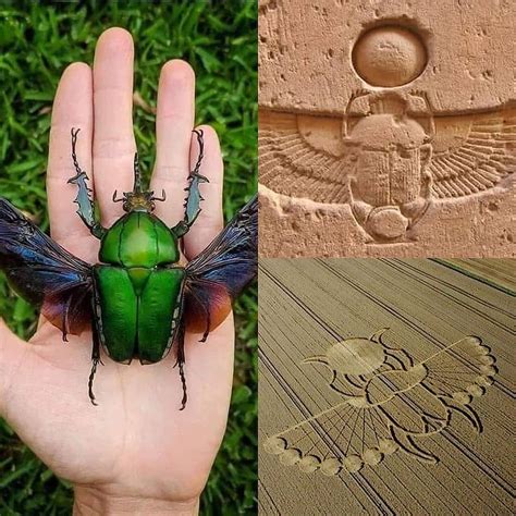 Egyptian Gold Scarab Beetle Meaning