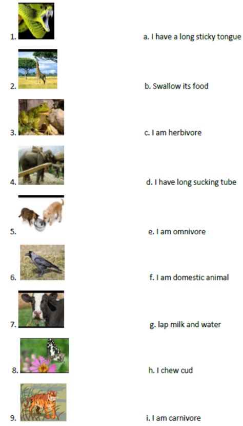 Class 3 Science 的图像结果