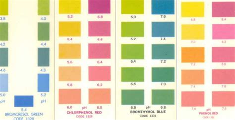 Image result for Phenol Red Color Chart