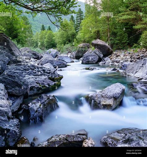 Landscape with river and forest with green trees. Silky crystal water ...
