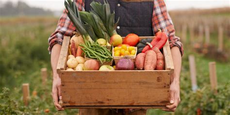 Local Ingredients 的图像结果