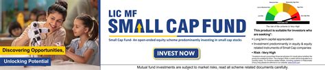 Invest in Top Performing Mutual Funds Online in India | LIC MF