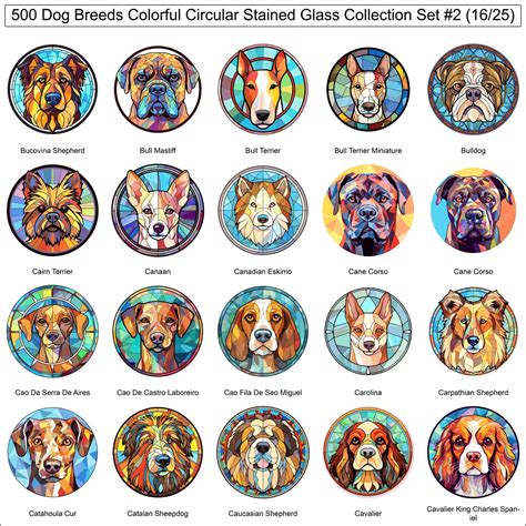 有色狗品種圓形彩色玻璃狗包裝系列 2 of 500 狗臉第 16 部分 | Premium矢量