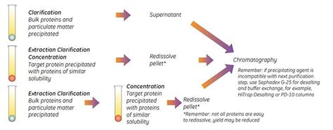 Sample Preparation for Chromatographic Purification