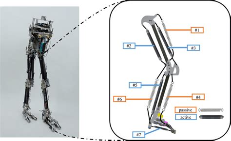 Reinforcement Learning Walking Robot 的图像结果