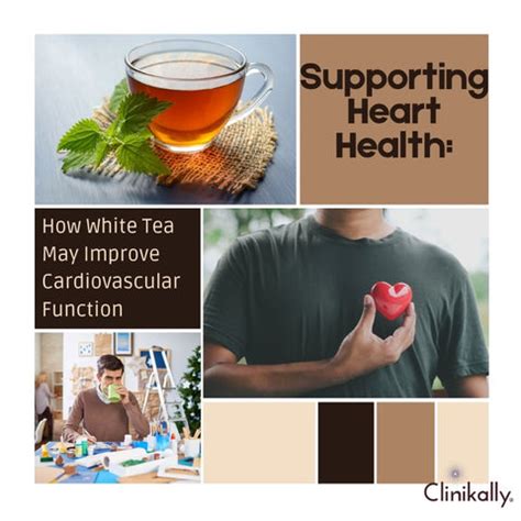 10 Impressive Benefits of White Tea | Clinikally