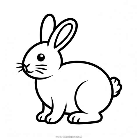 Rabbit for toddler Easy Drawing | Easy Drawings