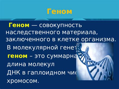 Презентация " Организация генома прокариот и эукариот"